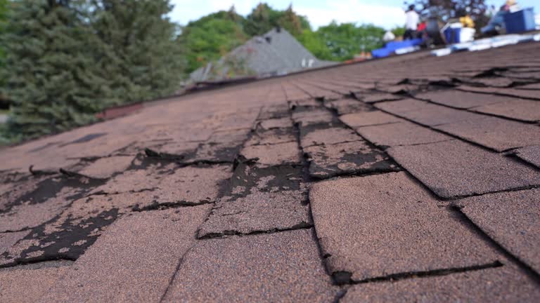 Best Wood Shake Roofing  in Fairview, CA