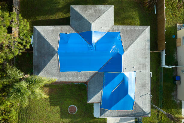 Best Roof Coating and Sealing  in Fairview, CA