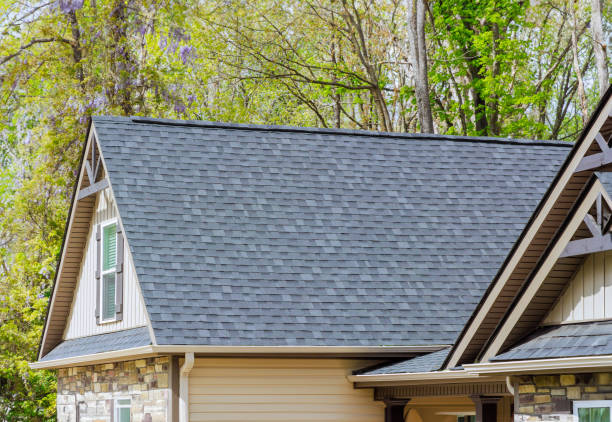 Best Solar Panel Roofing Installation  in Fairview, CA